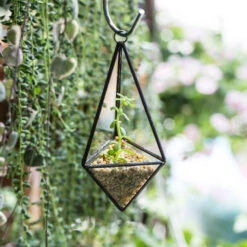 Handmade Hanging Mini Triangular Glass Geometric Terrarium For Fern Moss Succulent Airplants 17 Handmade Hanging Mini Triangular Glass Geometric Terrarium For Fern Moss Succulent Airplants -Ncyp Garden Sale Shop product image 386603773