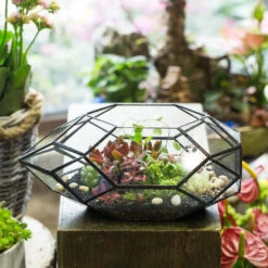 Handmade 11" Height Long Irregular Oval Geometric Glass Terrarium Lantern For Fern Moss Succulents -Ncyp Garden Sale Shop product image 386949516