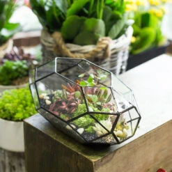 Handmade 11" Height Long Irregular Oval Geometric Glass Terrarium Lantern For Fern Moss Succulents -Ncyp Garden Sale Shop product image 386949526