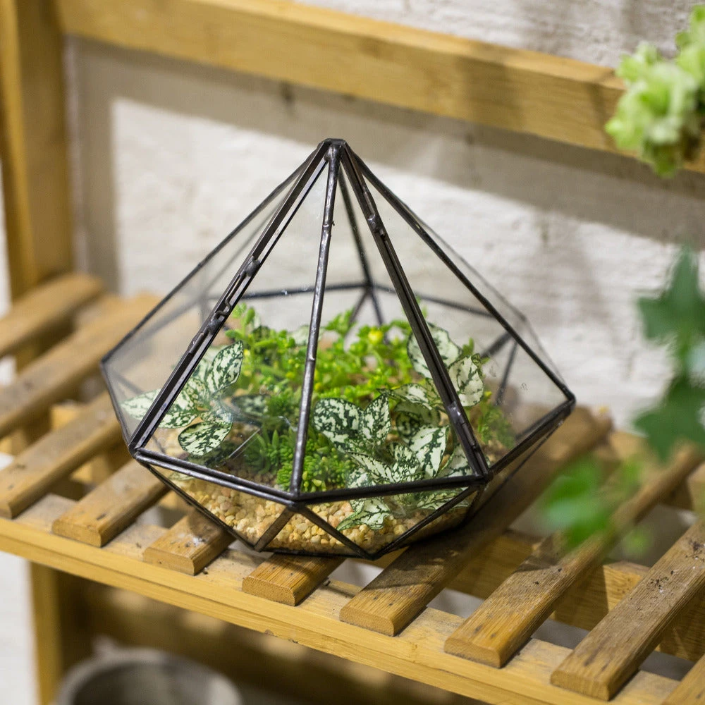 Handmade Diamond Black Glass Geometric Terrarium With Door For Succulents Moss Airplants 2 Handmade Diamond Black Glass Geometric Terrarium With Door For Succulents Moss Airplants - Image 2