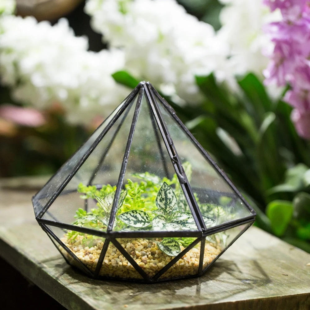 Handmade Diamond Black Glass Geometric Terrarium With Door For Succulents Moss Airplants 6 Handmade Diamond Black Glass Geometric Terrarium With Door For Succulents Moss Airplants - Image 6