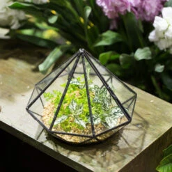 Handmade Diamond Black Glass Geometric Terrarium With Door For Succulents Moss Airplants 14 Handmade Diamond Black Glass Geometric Terrarium With Door For Succulents Moss Airplants -Ncyp Garden Sale Shop product image 389524663