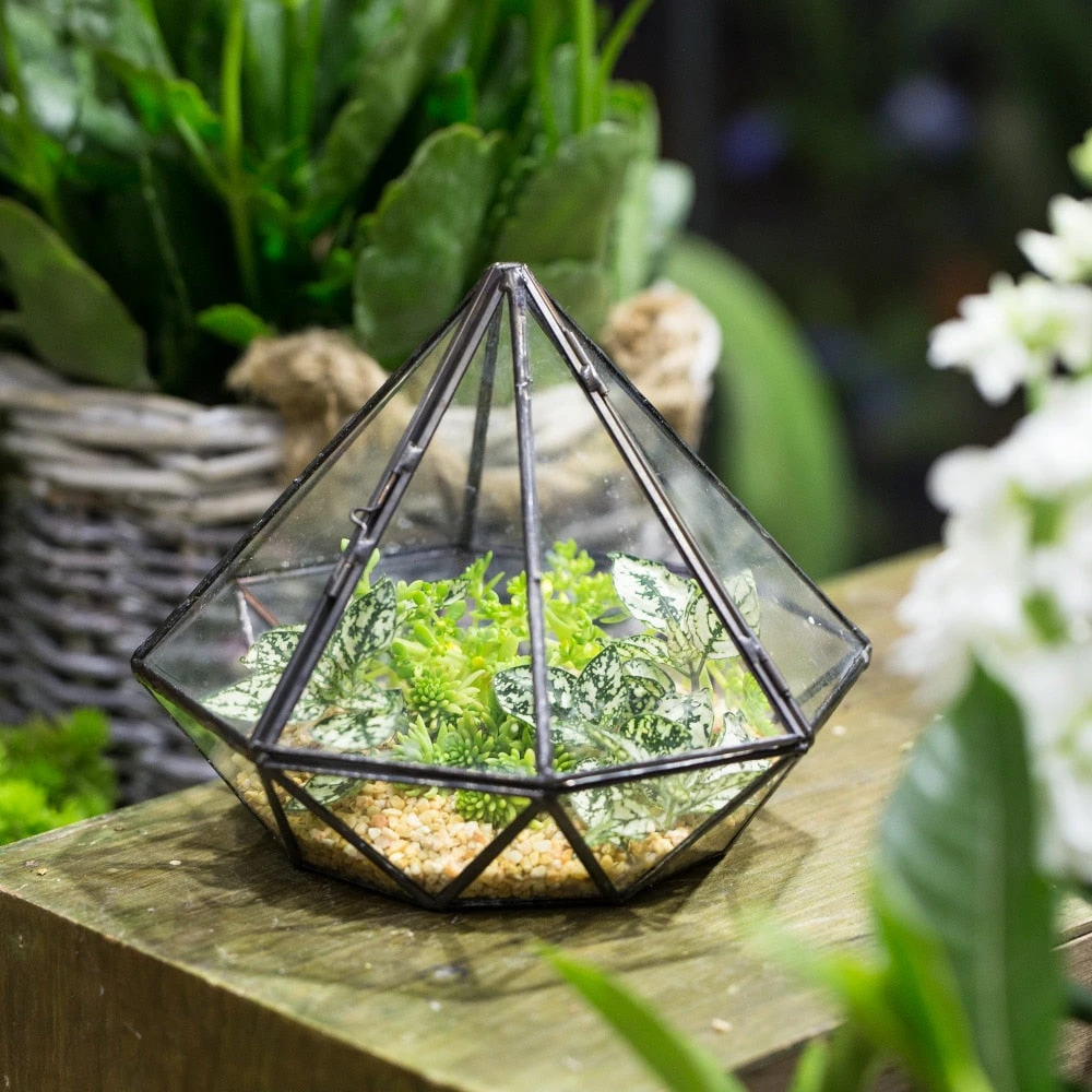 Handmade Diamond Black Glass Geometric Terrarium With Door For Succulents Moss Airplants 7 Handmade Diamond Black Glass Geometric Terrarium With Door For Succulents Moss Airplants - Image 7