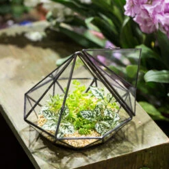 Handmade Diamond Black Glass Geometric Terrarium With Door For Succulents Moss Airplants 18 Handmade Diamond Black Glass Geometric Terrarium With Door For Succulents Moss Airplants -Ncyp Garden Sale Shop product image 389524677
