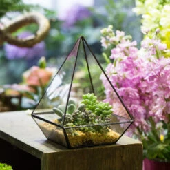 Handmade Modern Glass Geometric Terrarium Polyhedrons For Succulent Cacti Moss -Ncyp Garden Sale Shop product image 392970871