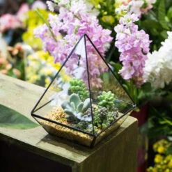 Handmade Modern Glass Geometric Terrarium Polyhedrons For Succulent Cacti Moss -Ncyp Garden Sale Shop product image 392970872