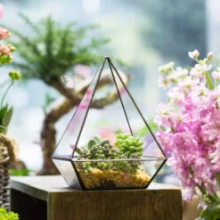 Handmade Modern Glass Geometric Terrarium Polyhedrons For Succulent Cacti Moss -Ncyp Garden Sale Shop product image 392970873