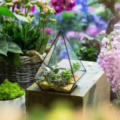 Handmade Modern Glass Geometric Terrarium Polyhedrons For Succulent Cacti Moss -Ncyp Garden Sale Shop product image 392970882