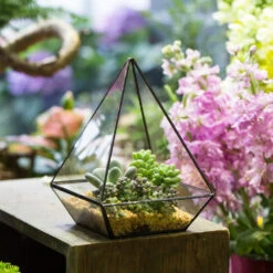 Handmade Modern Glass Geometric Terrarium Polyhedrons For Succulent Cacti Moss -Ncyp Garden Sale Shop product image 392970883