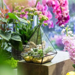 Handmade Modern Glass Geometric Terrarium Polyhedrons For Succulent Cacti Moss -Ncyp Garden Sale Shop product image 392970886