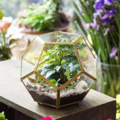 Handmade Copper Pentagon Glass Geometric Terrarium With Feet And Door For Succulent Moss Air Plant -Ncyp Garden Sale Shop product image 443095110