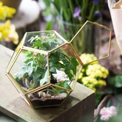 Handmade Copper Pentagon Glass Geometric Terrarium With Feet And Door For Succulent Moss Air Plant -Ncyp Garden Sale Shop product image 443095115