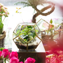 Handmade Copper Pentagon Glass Geometric Terrarium With Feet And Door For Succulent Moss Air Plant -Ncyp Garden Sale Shop product image 443095118