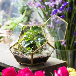 Handmade Copper Pentagon Glass Geometric Terrarium With Feet And Door For Succulent Moss Air Plant -Ncyp Garden Sale Shop product image 443095148