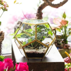 Handmade Copper Pentagon Glass Geometric Terrarium With Feet And Door For Succulent Moss Air Plant -Ncyp Garden Sale Shop product image 443095152