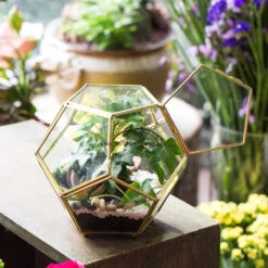 Handmade Copper Pentagon Glass Geometric Terrarium With Feet And Door For Succulent Moss Air Plant -Ncyp Garden Sale Shop product image 443095158