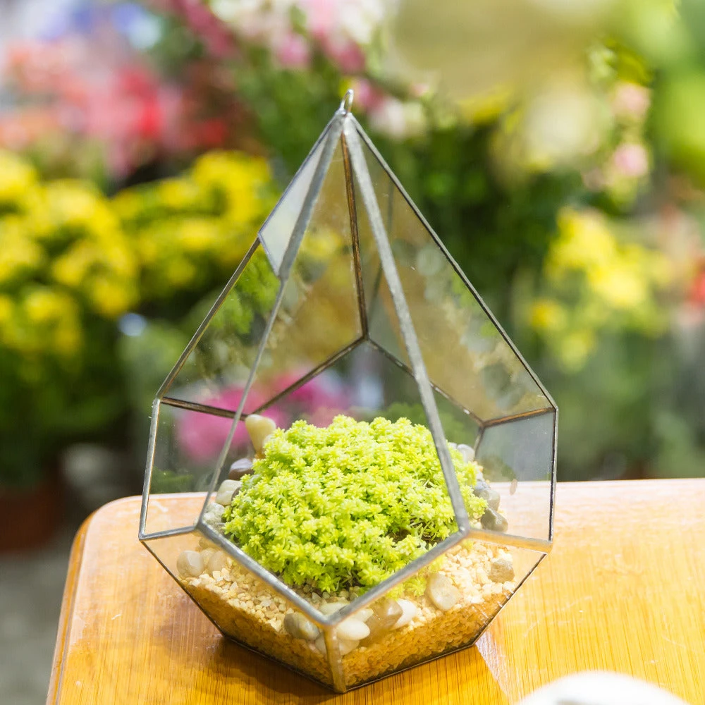 Handmade Silver Hanging Teardrop Shape Geometric Glass Terrarium For Succulent Moss Fern 3 Handmade Silver Hanging Teardrop Shape Geometric Glass Terrarium For Succulent Moss Fern - Image 3