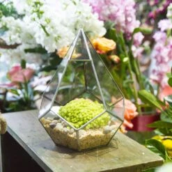 Handmade Silver Hanging Teardrop Shape Geometric Glass Terrarium For Succulent Moss Fern 18 Handmade Silver Hanging Teardrop Shape Geometric Glass Terrarium For Succulent Moss Fern -Ncyp Garden Sale Shop product image 449459843
