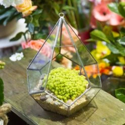 Handmade Silver Hanging Teardrop Shape Geometric Glass Terrarium For Succulent Moss Fern 16 Handmade Silver Hanging Teardrop Shape Geometric Glass Terrarium For Succulent Moss Fern -Ncyp Garden Sale Shop product image 449459845