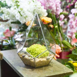 Handmade Silver Hanging Teardrop Shape Geometric Glass Terrarium For Succulent Moss Fern 15 Handmade Silver Hanging Teardrop Shape Geometric Glass Terrarium For Succulent Moss Fern -Ncyp Garden Sale Shop product image 449459855