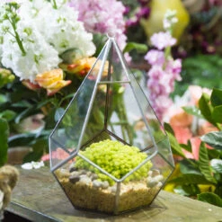 Handmade Silver Hanging Teardrop Shape Geometric Glass Terrarium For Succulent Moss Fern 14 Handmade Silver Hanging Teardrop Shape Geometric Glass Terrarium For Succulent Moss Fern -Ncyp Garden Sale Shop product image 449459856