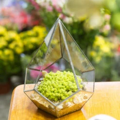 Handmade Silver Hanging Teardrop Shape Geometric Glass Terrarium For Succulent Moss Fern 13 Handmade Silver Hanging Teardrop Shape Geometric Glass Terrarium For Succulent Moss Fern -Ncyp Garden Sale Shop product image 449459858
