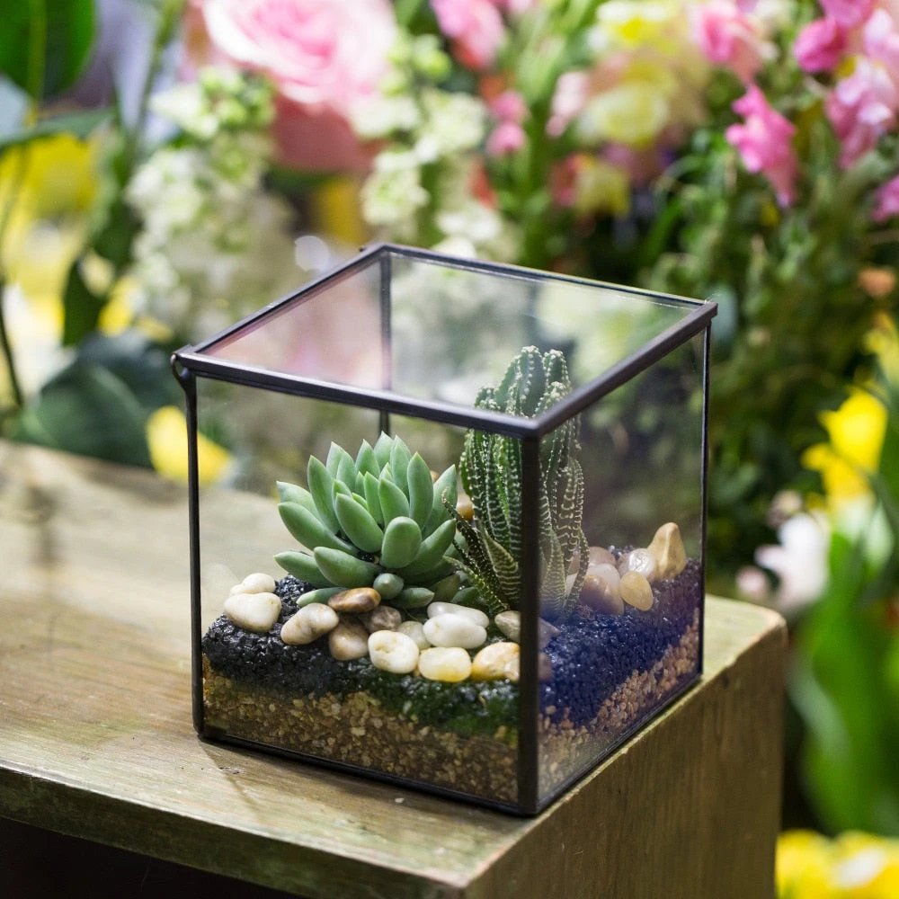 Handmade Square Glass Geometric Terrarium With Lid For Fern Moss Succulents Cacti 6 Handmade Square Glass Geometric Terrarium With Lid For Fern Moss Succulents Cacti - Image 6