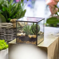 Handmade Square Glass Geometric Terrarium With Lid For Fern Moss Succulents Cacti 16 Handmade Square Glass Geometric Terrarium With Lid For Fern Moss Succulents Cacti -Ncyp Garden Sale Shop product image 456312589