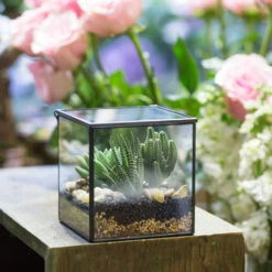 Handmade Square Glass Geometric Terrarium With Lid For Fern Moss Succulents Cacti 23 Handmade Square Glass Geometric Terrarium With Lid For Fern Moss Succulents Cacti -Ncyp Garden Sale Shop product image 456312594