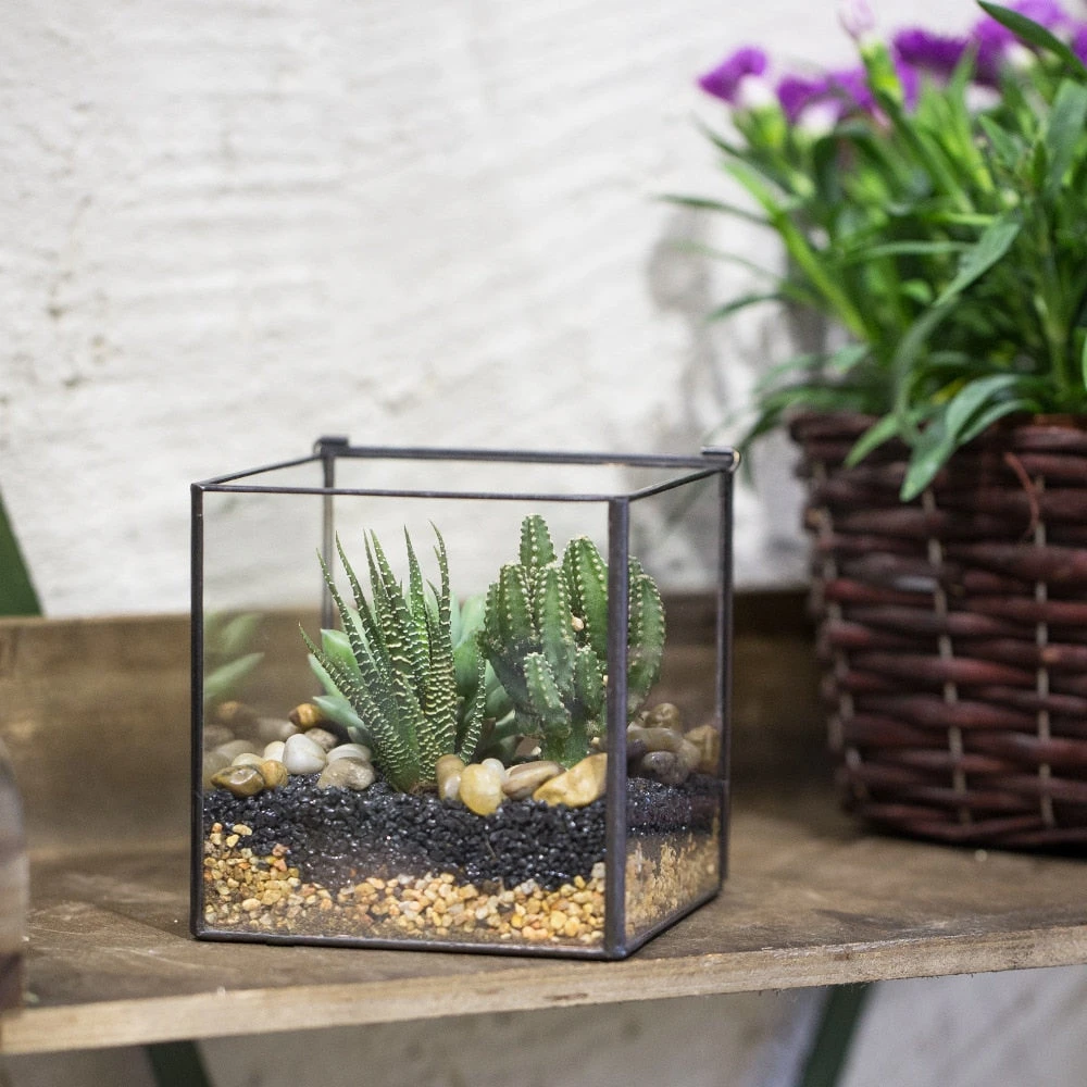 Handmade Square Glass Geometric Terrarium With Lid For Fern Moss Succulents Cacti 8 Handmade Square Glass Geometric Terrarium With Lid For Fern Moss Succulents Cacti - Image 8