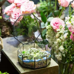 Handmade Flat Octagon Glass Geometric Terrarium For Succulents Fern Moss -Ncyp Garden Sale Shop product image 462967446
