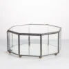 Handmade Flat Octagon Glass Geometric Terrarium For Succulents Fern Moss