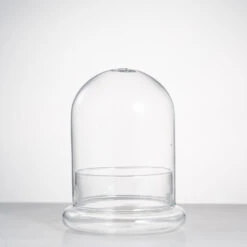 Blown 2 Piece Glass Cloche Dome Cover Terrarium Container With Without Airhole For Venus Flytrap 18 Blown 2 Piece Glass Cloche Dome Cover Terrarium Container With Without Airhole For Venus Flytrap -Ncyp Garden Sale Shop product image 471638636