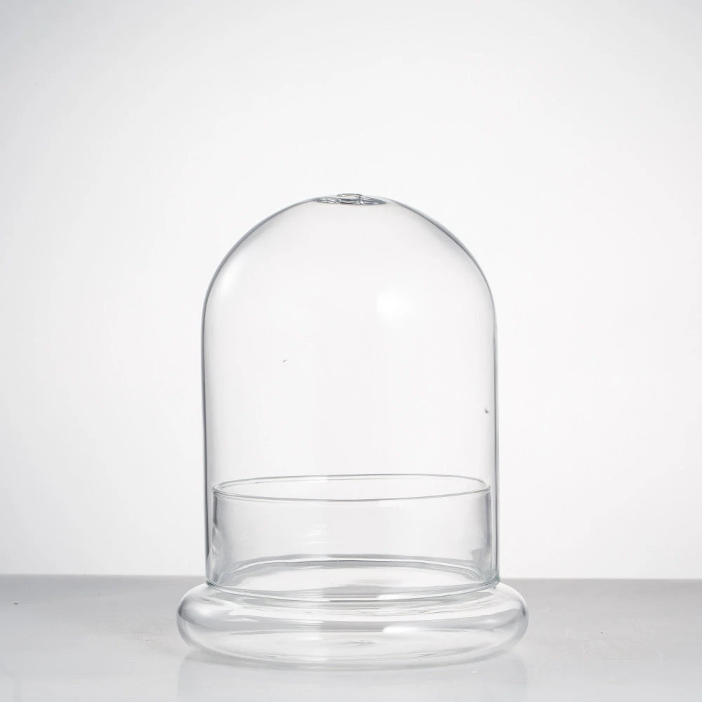 Blown 2 Piece Glass Cloche Dome Cover Terrarium Container With Without Airhole For Venus Flytrap 8 Blown 2 Piece Glass Cloche Dome Cover Terrarium Container With Without Airhole For Venus Flytrap - Image 8