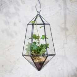 Handmade Hanging Artistic Clear Glass Six-surfaces Diamond Geometric Terrarium DIY For Succulent Pot 15 Handmade Hanging Artistic Clear Glass Six-surfaces Diamond Geometric Terrarium DIY For Succulent Pot -Ncyp Garden Sale Shop product image 471640400