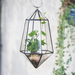 Handmade Hanging Artistic Clear Glass Six-surfaces Diamond Geometric Terrarium DIY For Succulent Pot 14 Handmade Hanging Artistic Clear Glass Six-surfaces Diamond Geometric Terrarium DIY For Succulent Pot -Ncyp Garden Sale Shop product image 471640411