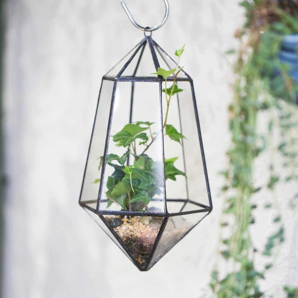 Handmade Hanging Artistic Clear Glass Six-surfaces Diamond Geometric Terrarium DIY For Succulent Pot 5 Handmade Hanging Artistic Clear Glass Six-surfaces Diamond Geometric Terrarium DIY For Succulent Pot - Image 5