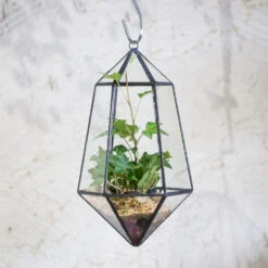 Handmade Hanging Artistic Clear Glass Six-surfaces Diamond Geometric Terrarium DIY For Succulent Pot 17 Handmade Hanging Artistic Clear Glass Six-surfaces Diamond Geometric Terrarium DIY For Succulent Pot -Ncyp Garden Sale Shop product image 471640412