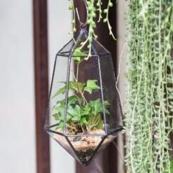 Handmade Hanging Artistic Clear Glass Six-surfaces Diamond Geometric Terrarium DIY For Succulent Pot 12 Handmade Hanging Artistic Clear Glass Six-surfaces Diamond Geometric Terrarium DIY For Succulent Pot -Ncyp Garden Sale Shop product image 471640414