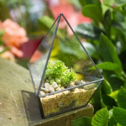 Handmade Geometric Flower Pot Small Glass Terrarium Pot For Container Balcony Garden Succulents -Ncyp Garden Sale Shop product image 477457923