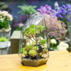 Handmade 41cm / 16" Tall Irregular Open Glass Geometric Terrarium Box For Succulent Moss Airplants -Ncyp Garden Sale Shop product image 477458543
