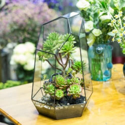 Handmade 41cm / 16" Tall Irregular Open Glass Geometric Terrarium Box For Succulent Moss Airplants -Ncyp Garden Sale Shop product image 477458555