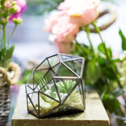 Handmade Diamond Open Glass Geometric Terrarium For Succulents Moss Fern Cacti -Ncyp Garden Sale Shop product image 477562839