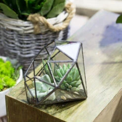 Handmade Diamond Open Glass Geometric Terrarium For Succulents Moss Fern Cacti -Ncyp Garden Sale Shop product image 477562840