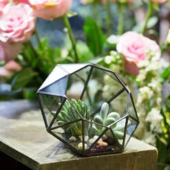 Handmade Diamond Open Glass Geometric Terrarium For Succulents Moss Fern Cacti -Ncyp Garden Sale Shop product image 477562841