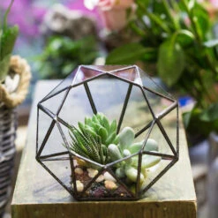 Handmade Diamond Open Glass Geometric Terrarium For Succulents Moss Fern Cacti -Ncyp Garden Sale Shop product image 477562842