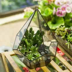 Handmade Black Hanging Teardrop Shape Glass Geometric Terrarium For Succulents Cacti 18 Handmade Black Hanging Teardrop Shape Glass Geometric Terrarium For Succulents Cacti -Ncyp Garden Sale Shop product image 480627806