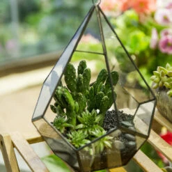 Handmade Black Hanging Teardrop Shape Glass Geometric Terrarium For Succulents Cacti 16 Handmade Black Hanging Teardrop Shape Glass Geometric Terrarium For Succulents Cacti -Ncyp Garden Sale Shop product image 480627807