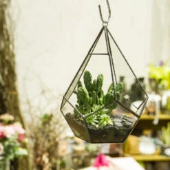 Handmade Black Hanging Teardrop Shape Glass Geometric Terrarium For Succulents Cacti 19 Handmade Black Hanging Teardrop Shape Glass Geometric Terrarium For Succulents Cacti -Ncyp Garden Sale Shop product image 480627809