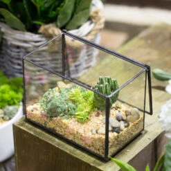 Handmade Rectangle Clear Glass Geometric Terrarium Box For Succulents Fern Moss Plant Flower -Ncyp Garden Sale Shop product image 480627941